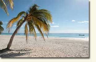 Florida Psychic - Christine Lynn